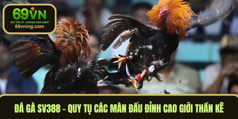 đá gà SV388